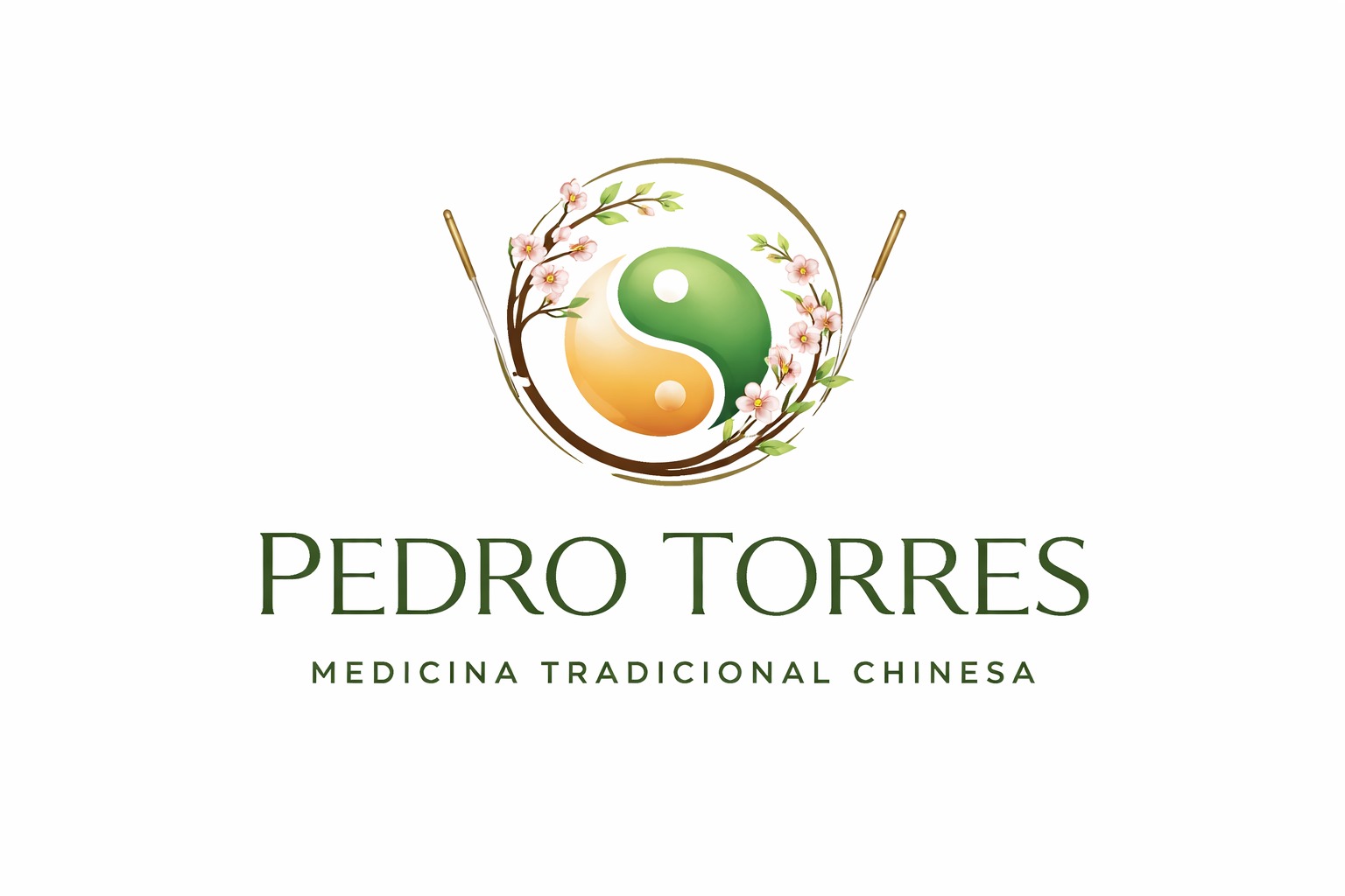 Logótipo Pedro Torres MTC