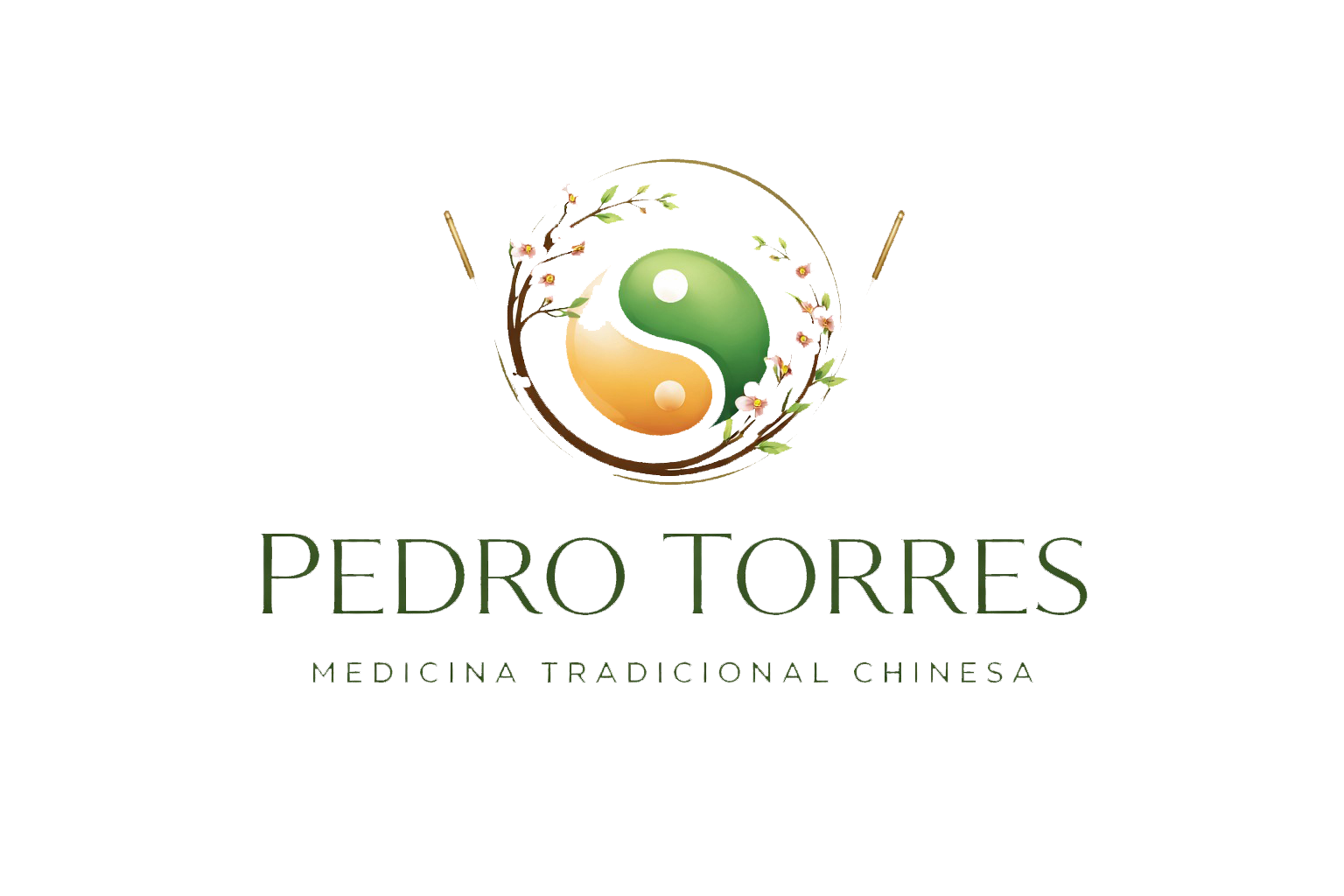 Logótipo Pedro Torres MTC